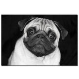 tableau petit chien blanc fond noir
