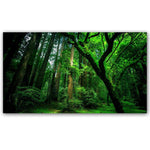 tableau photo grande foret