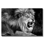 tableau noir et blanc lion