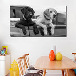 tableau deux labradors en noir et blanc