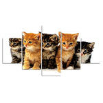 tableau famille chaton sur fond blanc