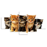 tableau famille chaton sur fond blanc