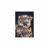 tableau câlin deux tigres fond noir