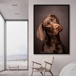 tableau photo berger allemand