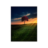 tableau arbre rouge dans la plaine