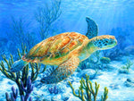 Tableau réaliste tortue mer bleu
