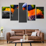 peinture oiseau 5 pièces Oiseaux tropicales