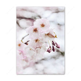 Cherry Blossoms Interior Painting Poster and Prints Japanese