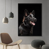 tableau photo berger allemand
