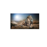 tableau lion calme