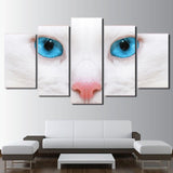 Tableau chat blanc yeux bleus | La maison des tableaux