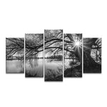 Tableau arbres 5 piècesArbre noir et blanc